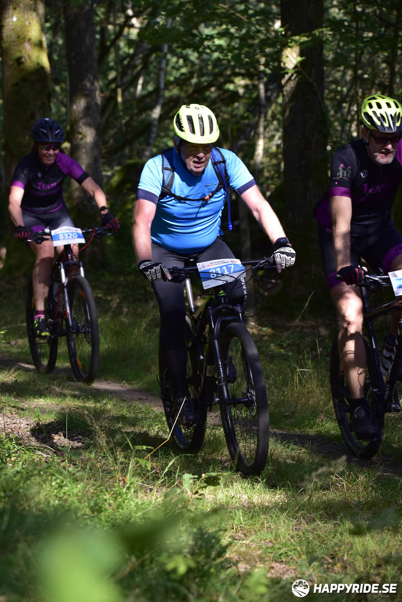 Bild från Bockstensturen 2019